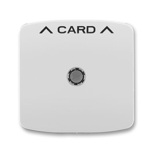 Kryt spínača kartového, šedá, ABB Tango 3559-A00700 S