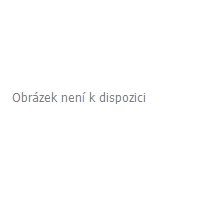 WiFi IP kamera - venkovní 720p - TUYA (1)
