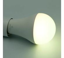 LED žárovka WIFI 15W - A60 / E27 / CCT + RGB - ZLS535W (10)