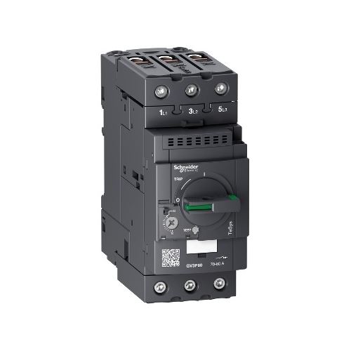 Motorový vypínač TERMOMAGN. 70-80 GV3P80