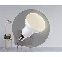 LED žárovka 5W - R50 / E14 / SMD / 3000K - ZLS213 (2)