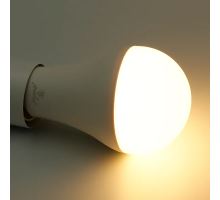 LED žárovka WIFI 15W - A60 / E27 / CCT + RGB - ZLS535W (14)