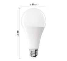 LED žiarovka Classic A80 / E27 / 20 W (150 W) / 2452 lm / neutrálna biela (1)