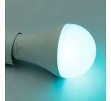 LED žiarovka WIFI 15W - A60 / E27 / CCT + RGB - ZLS535W (6)