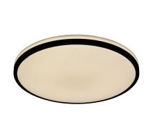 LED svítidlo OPAL + dálkový ovladač 48W - LCL535BT (2)
