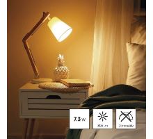 LED žárovka Classic Globe 8W E14 teplá bílá (5)