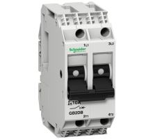 Istič 2p 12,00 GB2DB20 Schneider