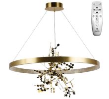 LED svítidlo + dálkový ovladač 55W - J5308/C (6)