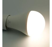 LED žiarovka WIFI 15W - A60 / E27 / CCT + RGB - ZLS535W (1)