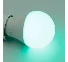 LED žiarovka WIFI 9W - A60 / E27 / CCT + RGB - ZLS532W (12)