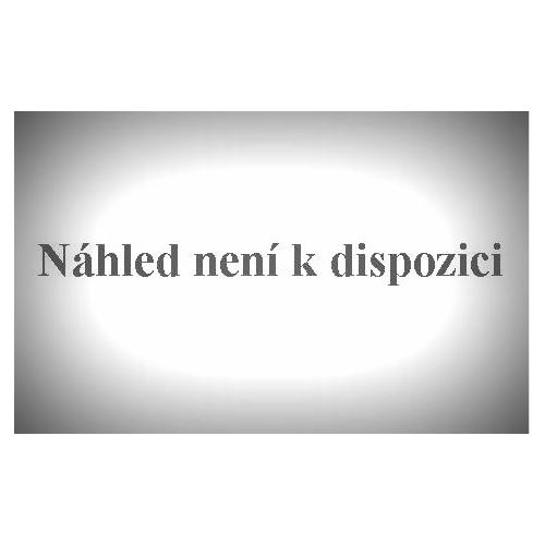 RSA 4 střední přepřepážka