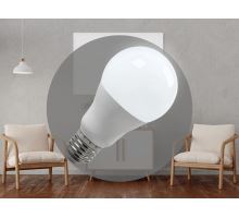 LED žárovka 13,5W - A65 / E27 / SMD / 6500K - ZLS505 (4)