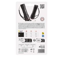 LED svietidlo kovová, 500 lm, 4 × AAA, FOKUS (5)