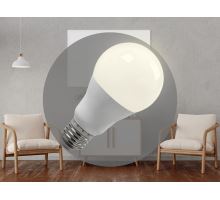LED žárovka 13,5W - A65 / E27 / SMD / 3000K - ZLS515 (2)