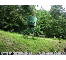 GSM fotopasca Crown (5)