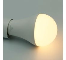 LED žárovka WIFI 15W - A60 / E27 / CCT + RGB - ZLS535W (9)