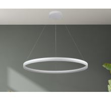 LED svítidlo + dálkový ovladač 55W - J4309/W