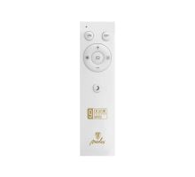 LED svítidlo OPAL + dálkový ovladač + Wifi 48W - LC902C (7)